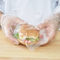 De plastic Zakken van het Sandwich Commerciële Voedsel ontruimen Filmgravure Drukkend Hoge Duurzaamheid